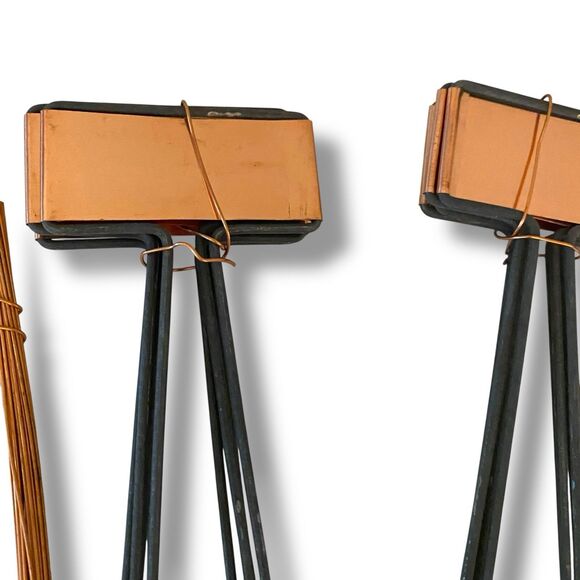 Restoration Hardware RH Copper Garden Plant Tag Marker Set in Wood Box - Picture 6 of 11